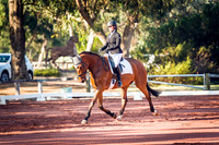 Swan Valley Dressage Association