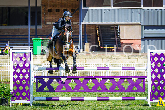 IMGP6144