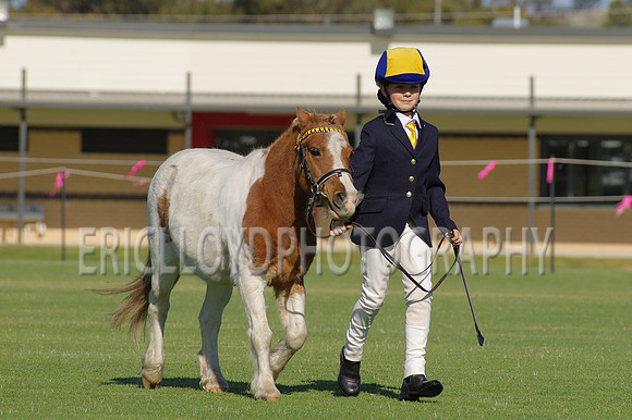 Beverley20 09 14-7905