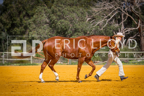 untitled-0467