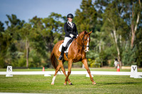Competitor Novice 2.2