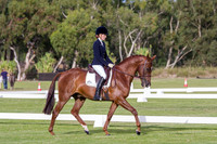 Competitor Preliminary 1.2