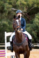 1. Horseland Midland 60cm Optimum Time