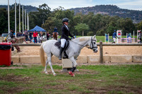 2a. Horseland Midland 70 - 80cm AM7