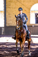 CLASS 3A 4-YR OLD HORSES