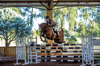 CLASS 3D 7-YEAR OLD HORSES