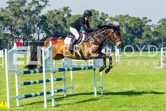 IMGP9728