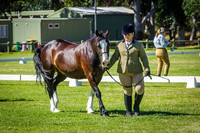 IMGP8201