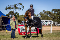 Class 26 - Georgina Farms Junior Jumper