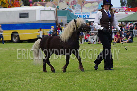 Jess-3832