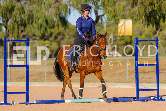 IMGP2997 - Copy