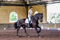 Swan Valley Dressage Training and Hi Point 15 07 2017