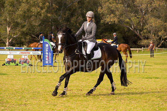IMGP4241