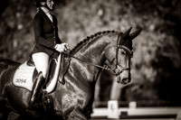 Transitions Dressage 08/05/2021