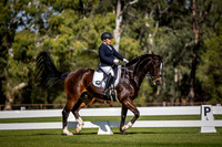ROYL6604