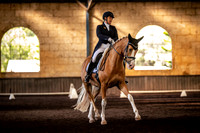 Brookleigh Estate FEI Dressage in the Valley