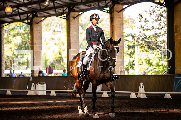 ROYL8506