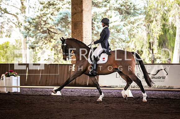 ROYL7872