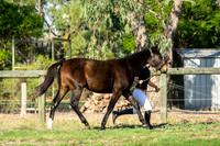 IMGP3234