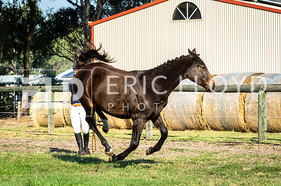 IMGP3257