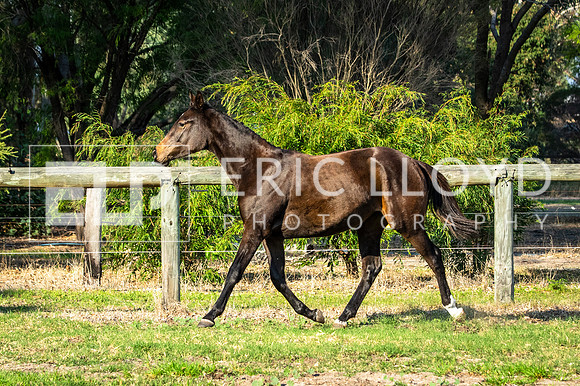 IMGP3292