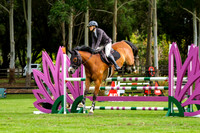 7B. Theault Horseboxes 1.10-1.15m JWA Bronze Series AM5