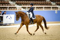 EWA Winter Dressage featuring the Project Neon FEI Showcase
