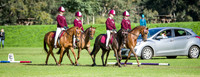 Saturday - State Dressage Championship PCAWA