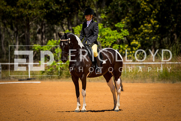 untitled-0488