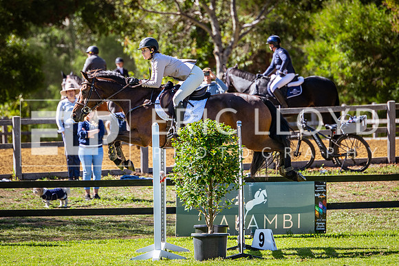 IMGP9833