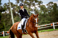 Dressage