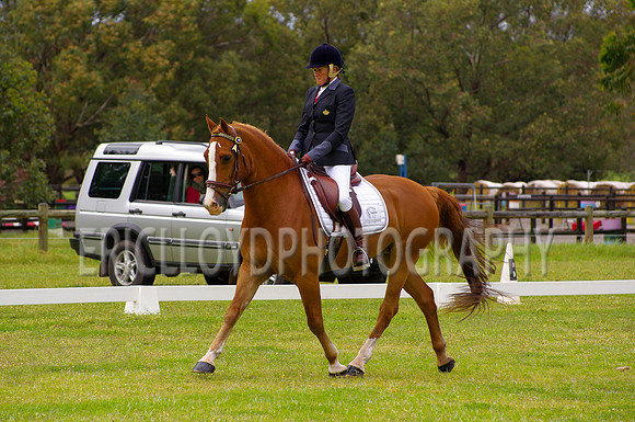 IMGP1399