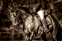 WAECI 18+ Showjumping