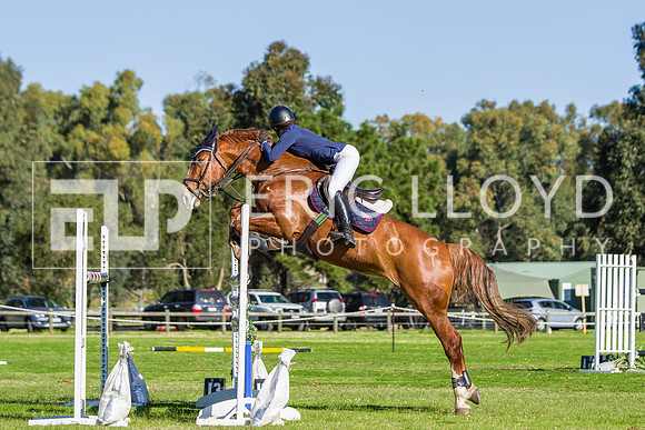 SRJC-Champs-0711