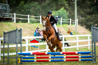 IMGP1337