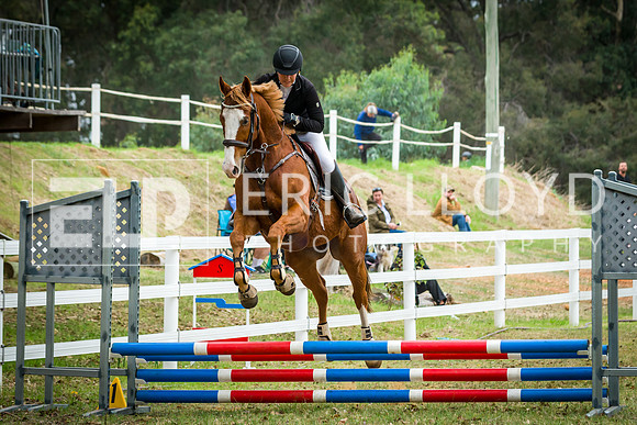 IMGP1339