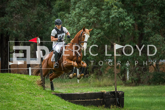 IMGP2384