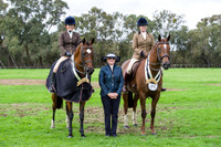 Champion/Reserve Sml/Lge Show Hunter Hack.