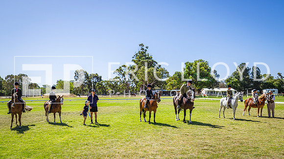 ELP_5297