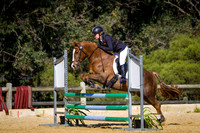 Young Event Pony