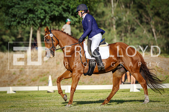IMGP7308