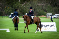 IMGP0027