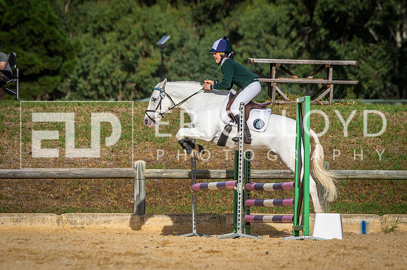 IMGP7186