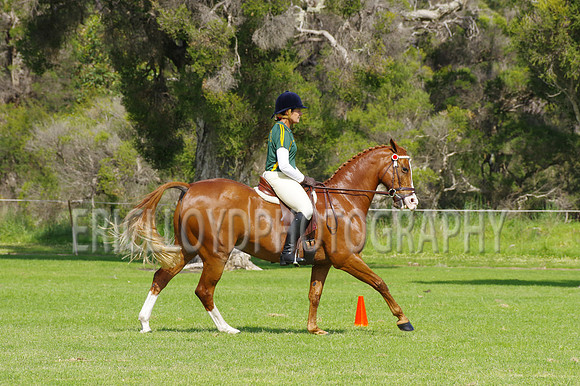 ARCA WH 2014-6542