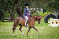 AUSTRALIAN WELSH RIDDEN CHAMPIONSHIP QUALIFIER-photos
