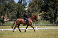 ARCADSG17-5496
