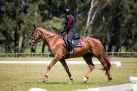 ARCADSG17-5503