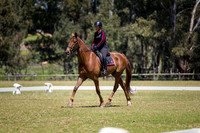 ARCADSG17-5508