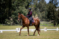 ARCADSG17-5515