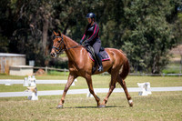 ARCADSG17-5516